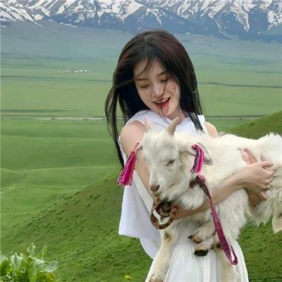 萌犬好声音2