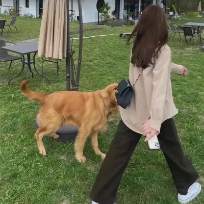 官能的法则